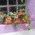Les Jardins De Lo're'an Appartement