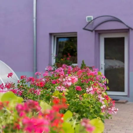 Les Jardins De Lo're'an Holtzwihr