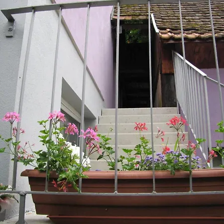 Les Jardins De Lo're'an Apartament *