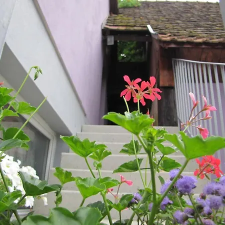 Les Jardins De Lo're'an Apartament Holtzwihr