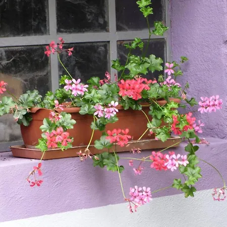 Les Jardins De Lo're'an Apartment