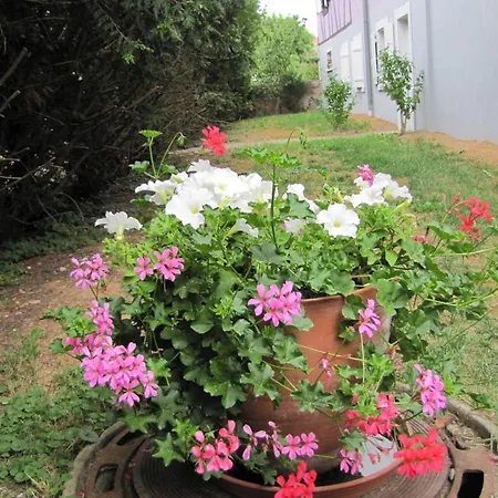 Les Jardins De Lo're'an Holtzwihr