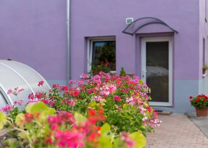 Les Jardins De Lo're'an Holtzwihr
