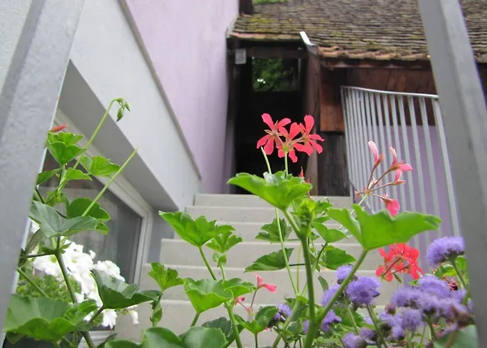 Les Jardins De Lo're'an Lägenhet Holtzwihr