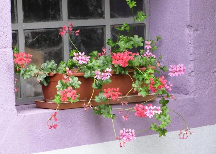 Les Jardins De Lo're'an Lägenhet