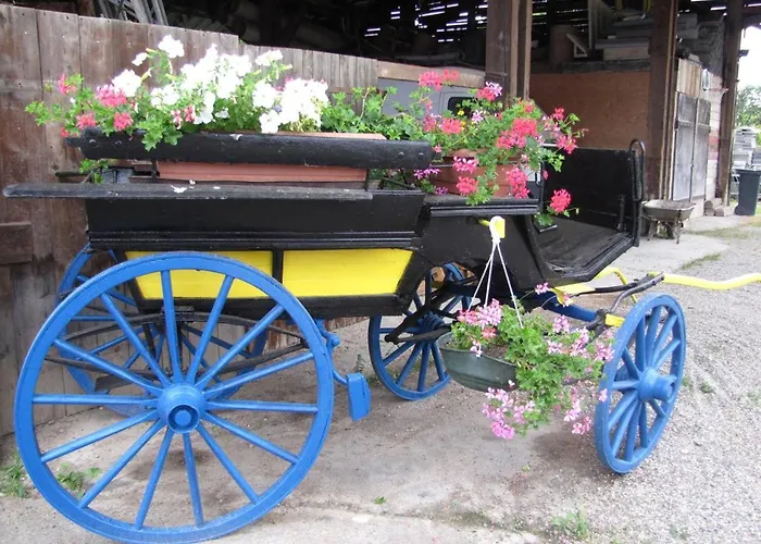 Les Jardins De Lo're'an Lägenhet Holtzwihr